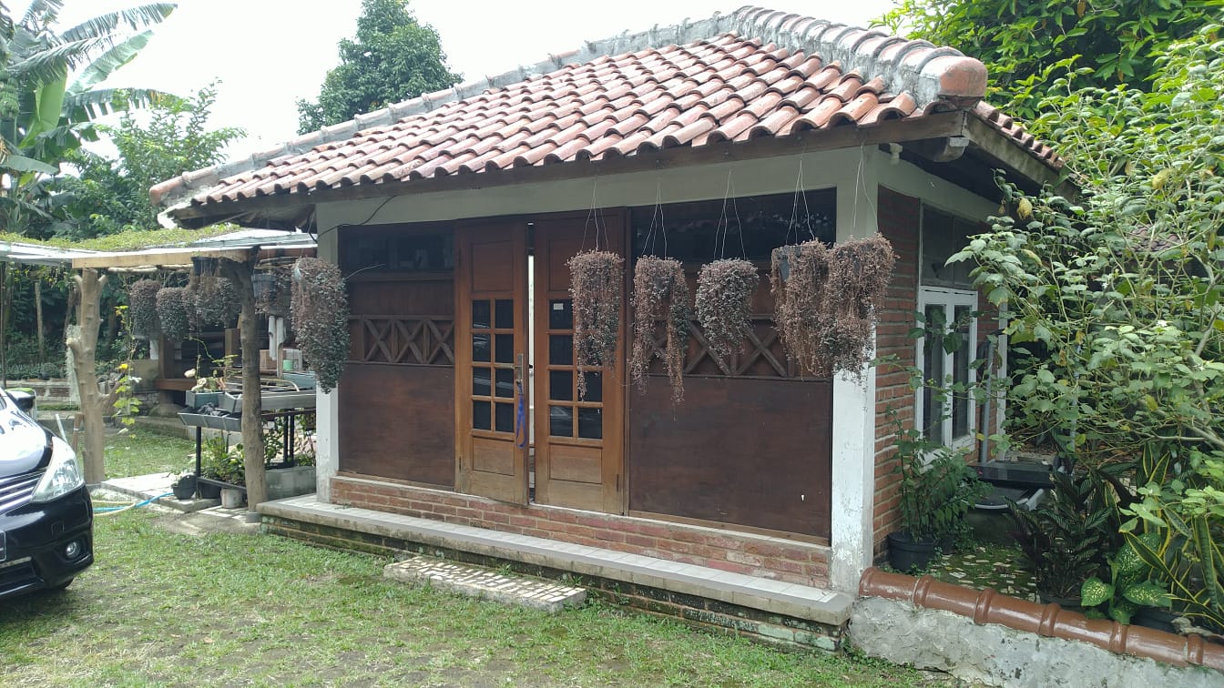 Kost Hasanah: Tempat Menginap yang Menyatu dengan Jiwa Cilacap